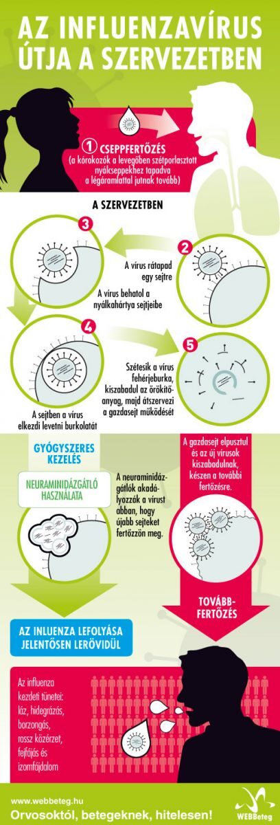 Influenza infografika