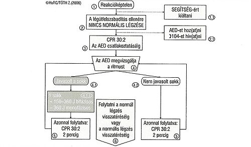 Defibrillátoros újraélesztés folyamata - ábra