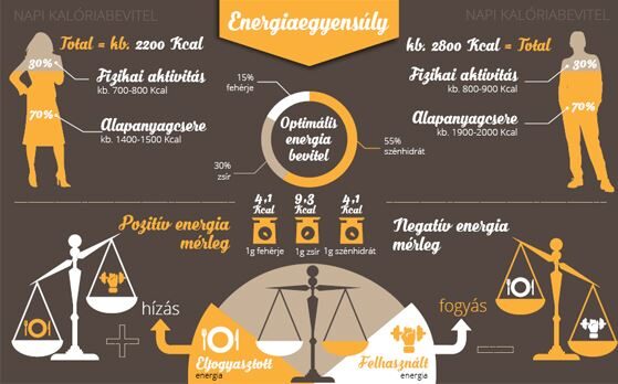 energiaegyensúly infografika