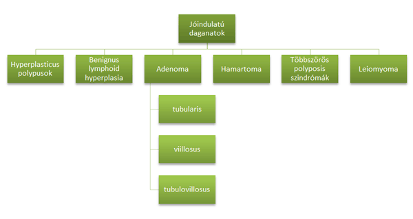 Jóindulatú daganatok fajtái