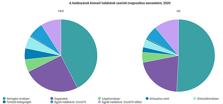 KSH: halálozási okok nemek szerint
