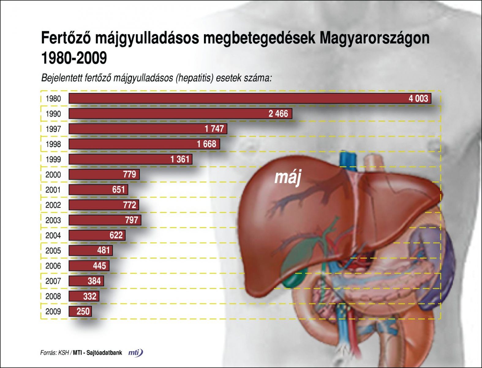 A diabetes és a májbetegségek kapcsolata