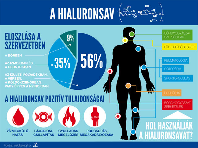 Hialuronsav infografika