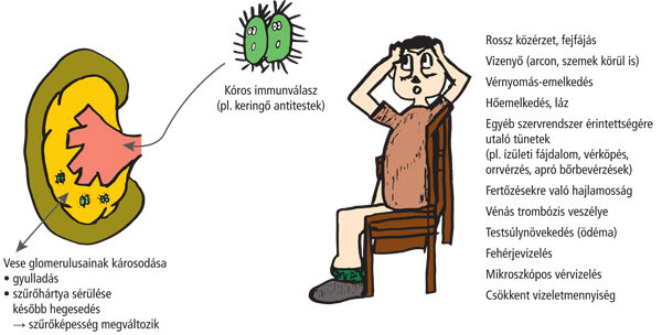 vese- és ízületi betegségek)