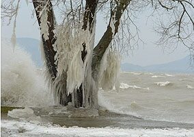 artériák visszér szódafürdők a visszér kezelésére