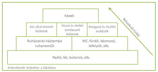 a kórokozók terjedése lakásban