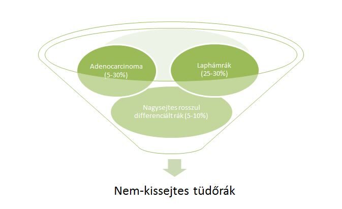 Nem-kissejtes tüdőrák típusok