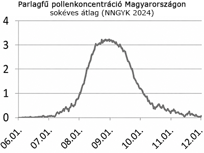 Parlagfű pollenkoncentráció Magyarországon