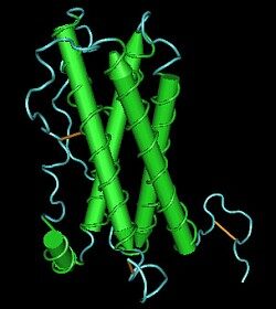 Prolaktin | Lab Tests Online-HU