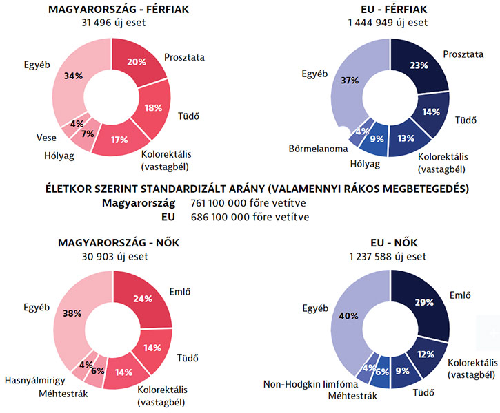 Rákos megbetegedések incidencinájának nemek szerinti megoszlása Magyarországon és az EU-ban; A diagram forrása: Rákügyi országprofil 2023