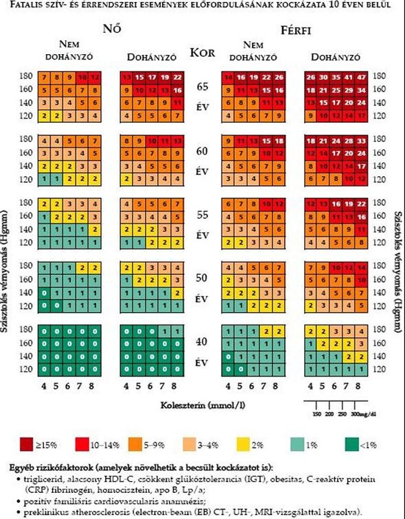 Szív- és érrendszeri események kockázatbecslése