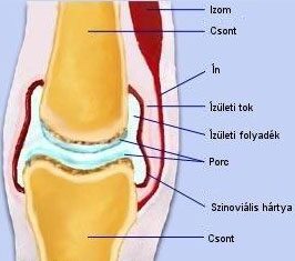 sport térd sérülések kezelése