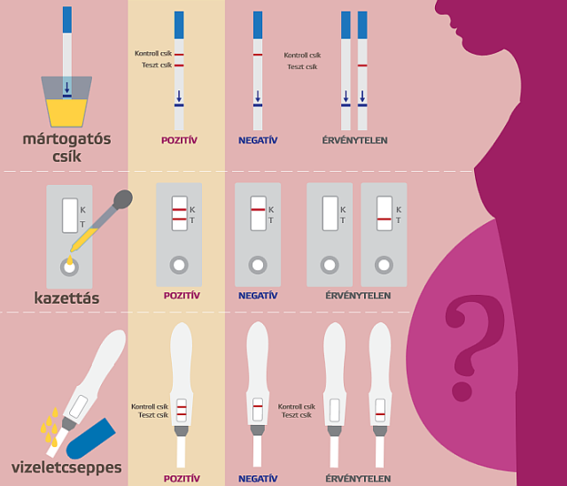 Terhességi teszt eredményei infografika