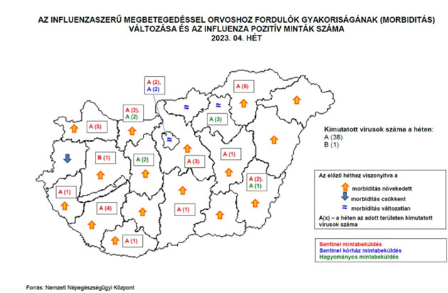 Influenzajárvány, 2023.02.02.