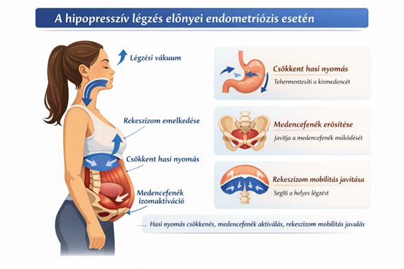 Hipopresszív légzéstechnika