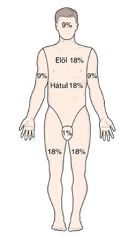 emberi test