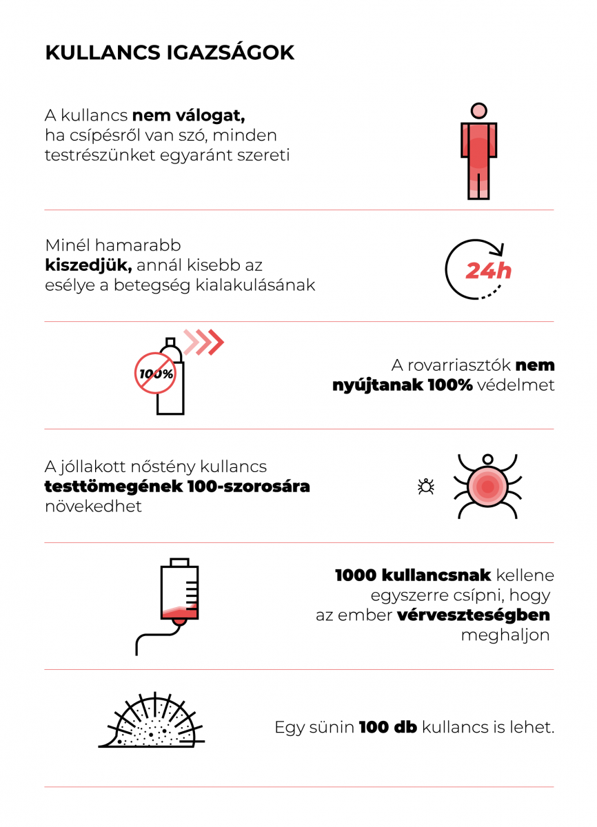 kullancs infografika