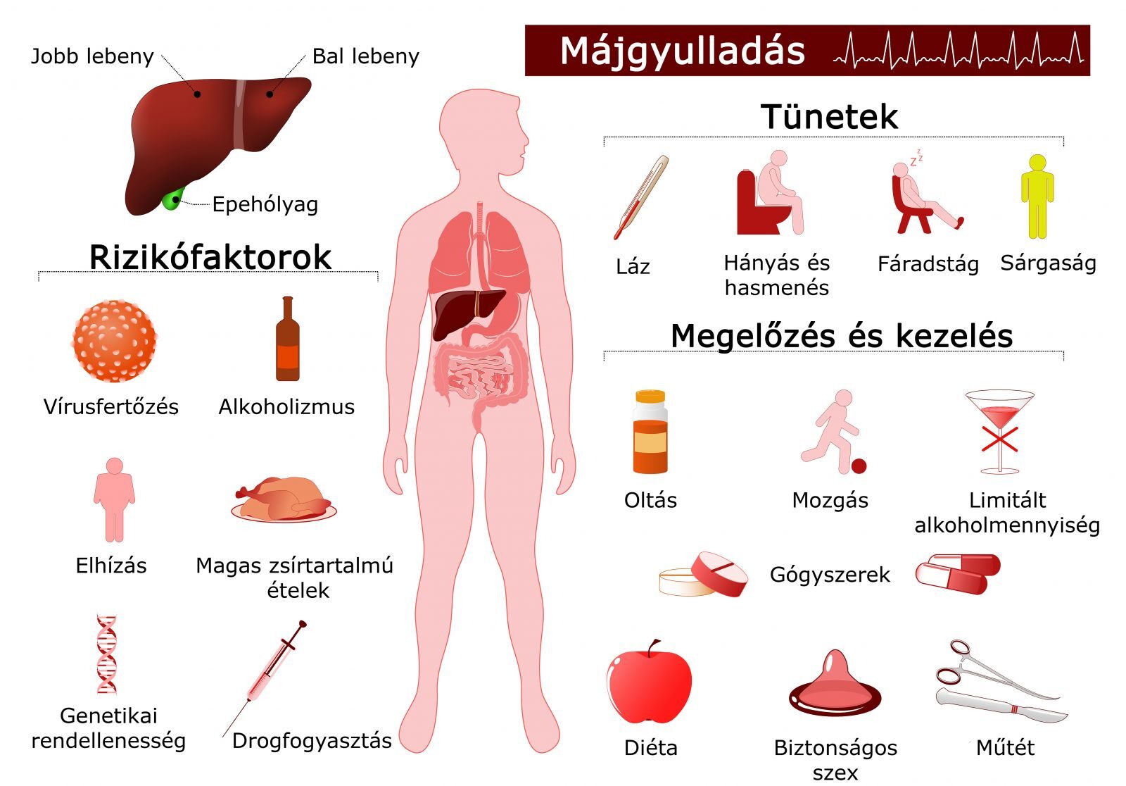 hepatitis cukorbetegség kezelésében