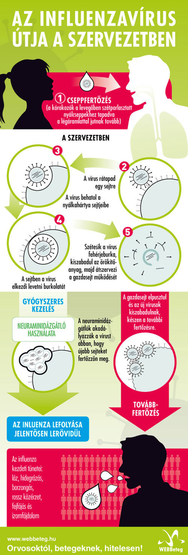 okozhat e fogyást az influenza vírus)