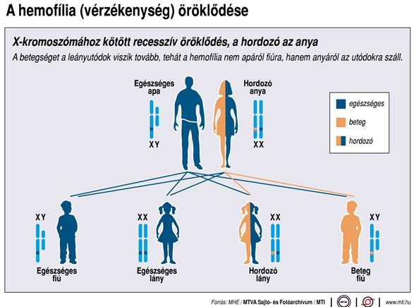 cukorbetegség vérzékenység