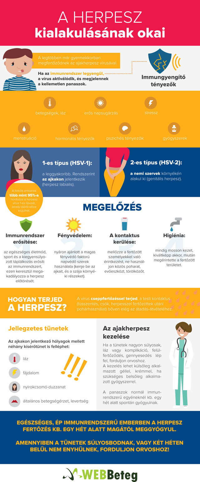 Herpesz infografika