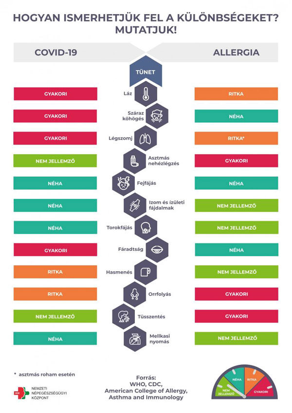 COVID és pollenallergia tünetek infografika