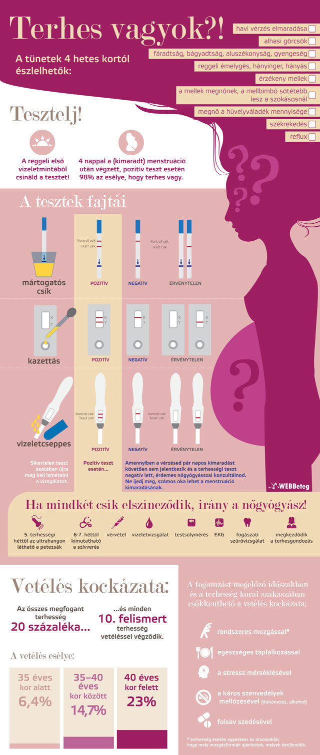Terhes vagyok infografika