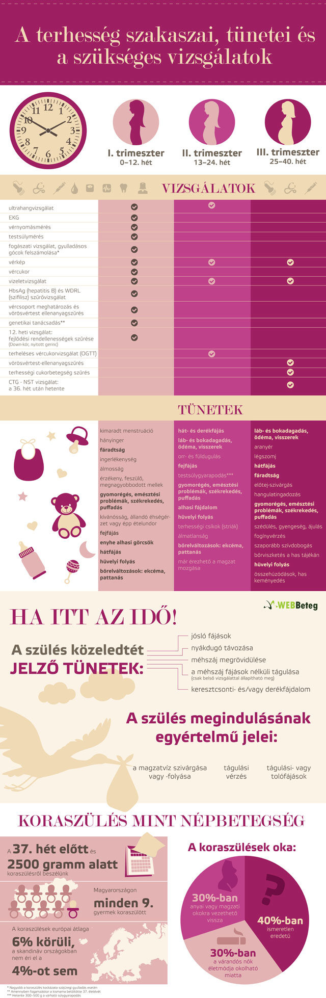 A terhesség szakaszai infografika