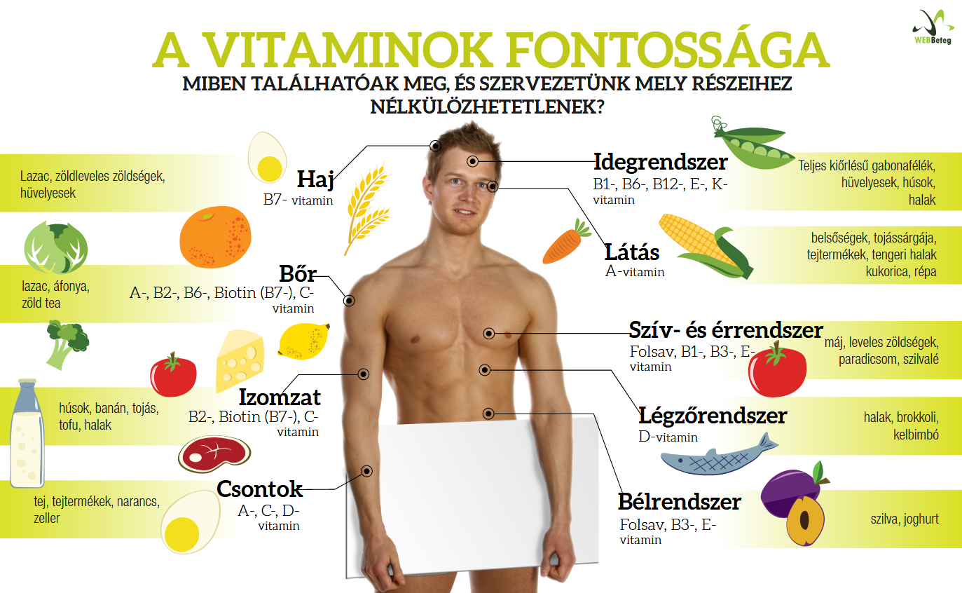 Vitaminok infografika