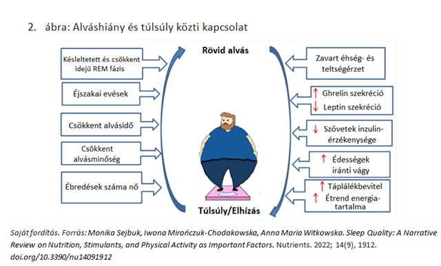 Alváshiány és túlsúly