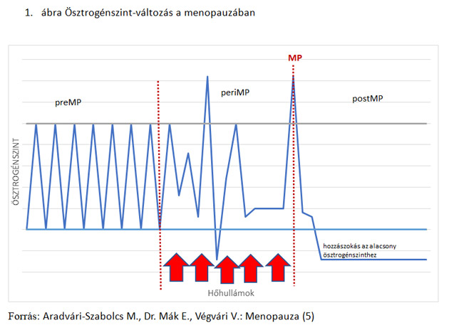 Menopauza