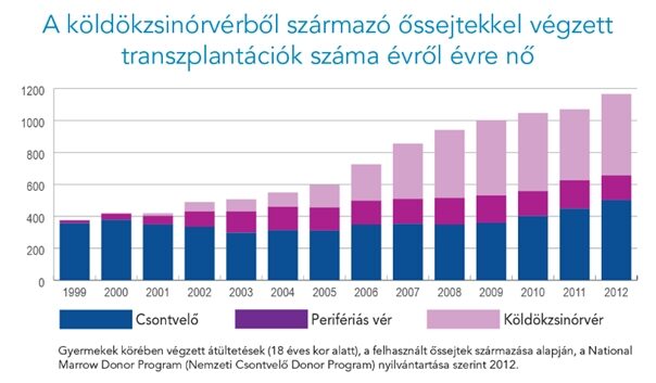 Köldökzsinór őssejt transzplantáció diagram