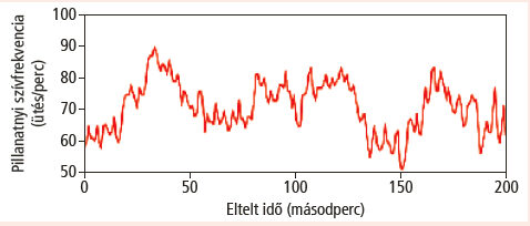 normalis szivfrekvencia)