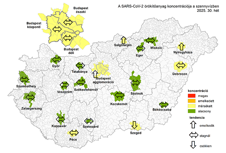 A SARS-CoV-2 örökítőanyagának koncentrációja a szennyvízben 2025. 30. hetén