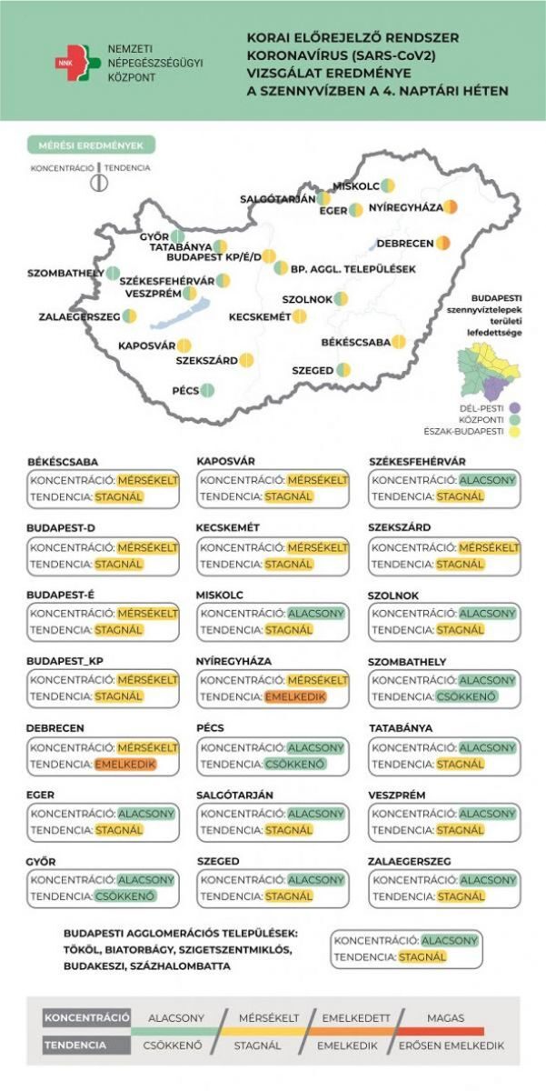 Koronavírus örökítőanyaga