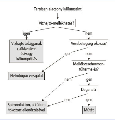 magas vérnyomásból eredő betegségek