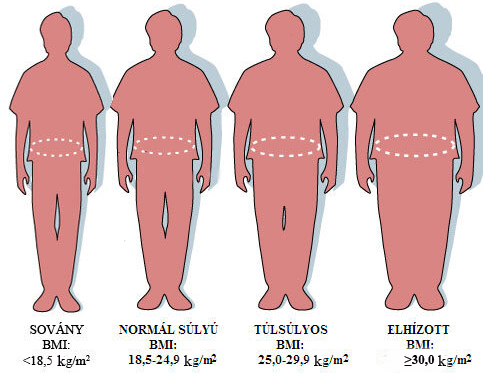 BMI kategóriák